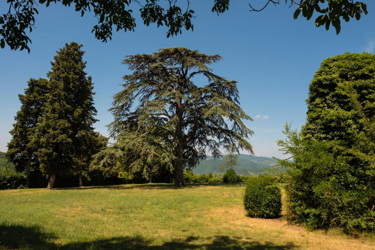 Agriturismo Fattoria Lavacchio Vila Pontassieve Exterior foto