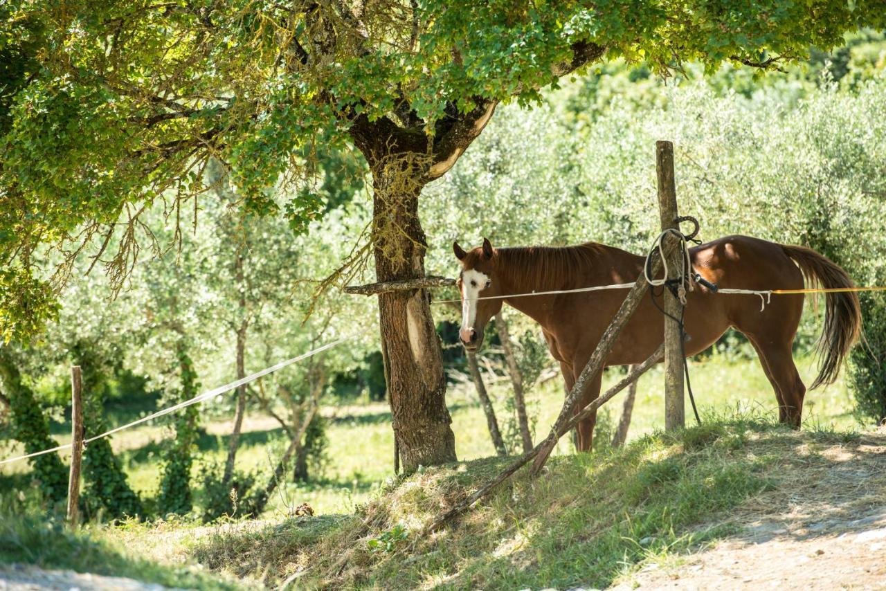 Agriturismo Fattoria Lavacchio Vila Pontassieve Exterior foto