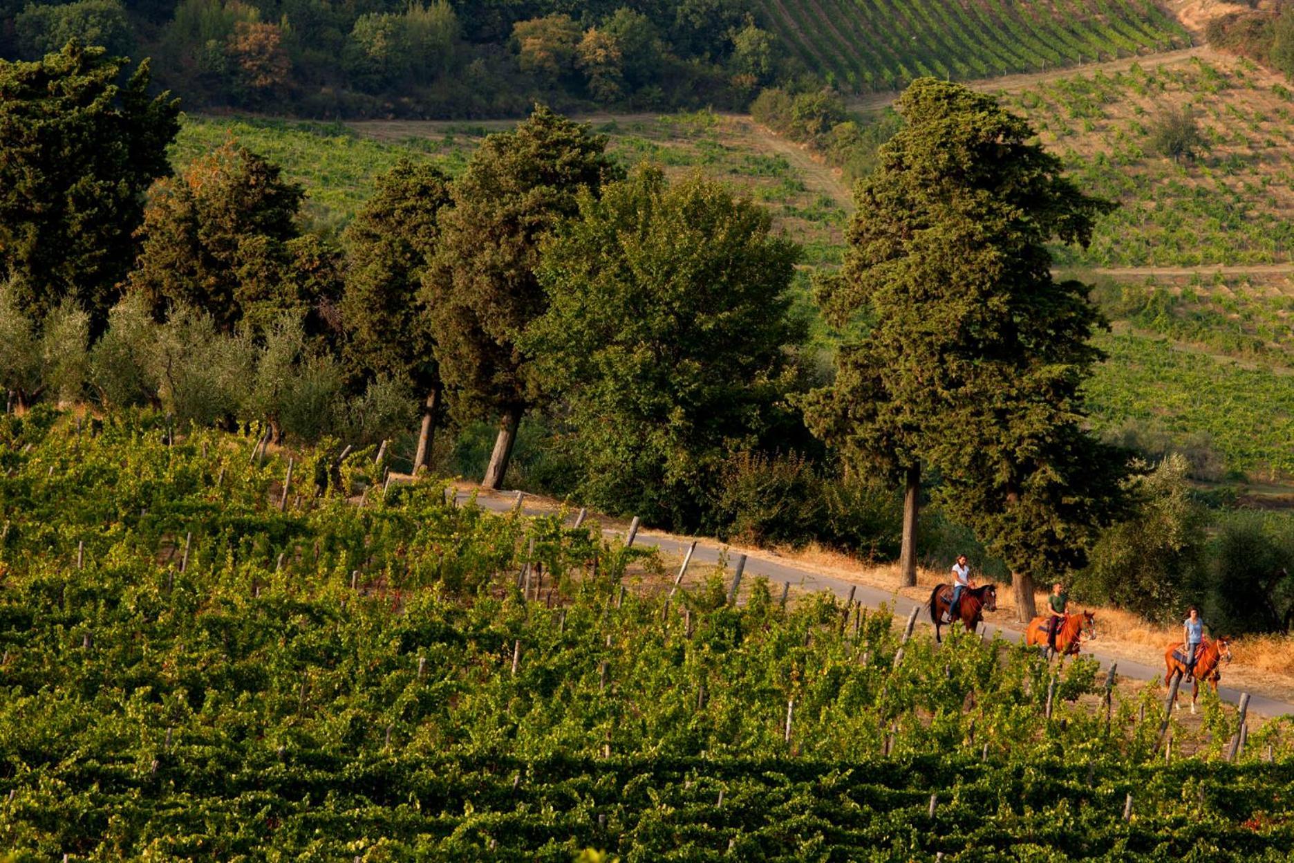 Agriturismo Fattoria Lavacchio Vila Pontassieve Exterior foto