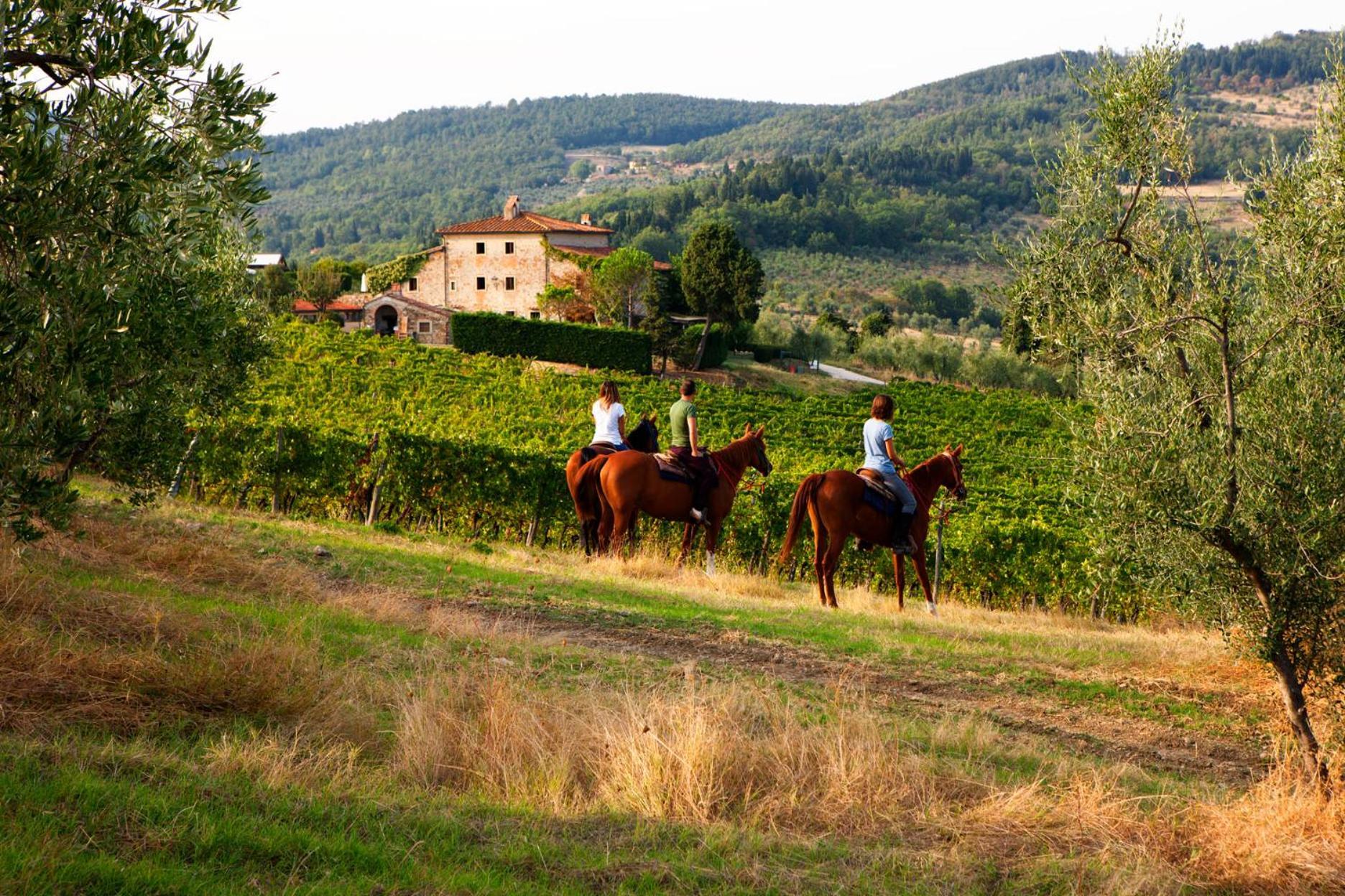 Agriturismo Fattoria Lavacchio Vila Pontassieve Exterior foto