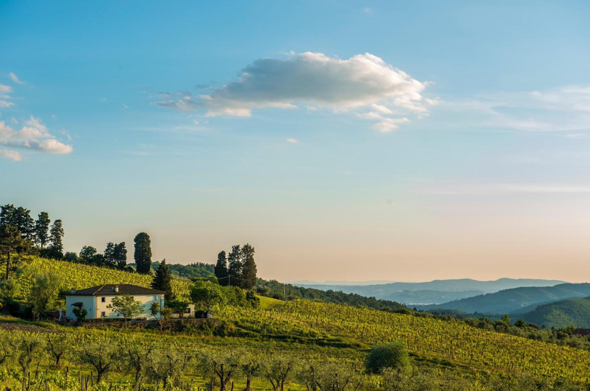 Agriturismo Fattoria Lavacchio Pontassieve Quarto foto