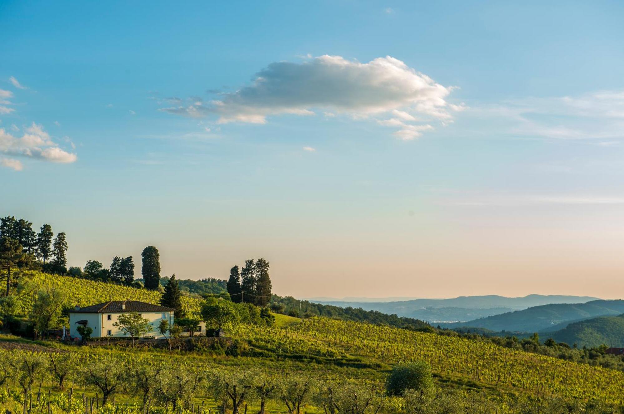 Agriturismo Fattoria Lavacchio Vila Pontassieve Quarto foto